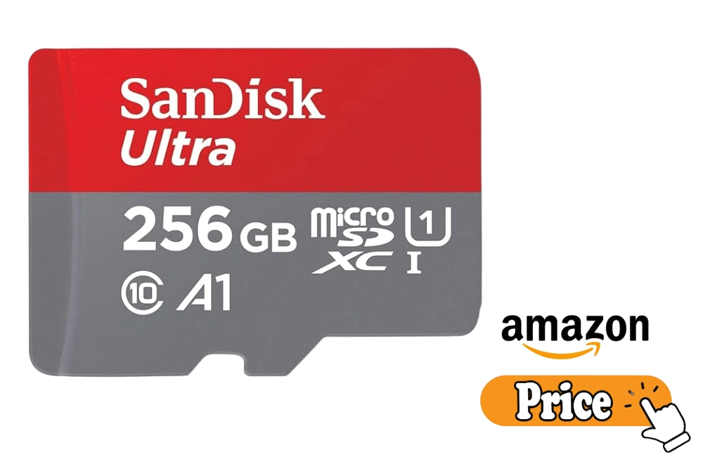 micro sd sandisk - Micro SD Samsung vs Sandisk