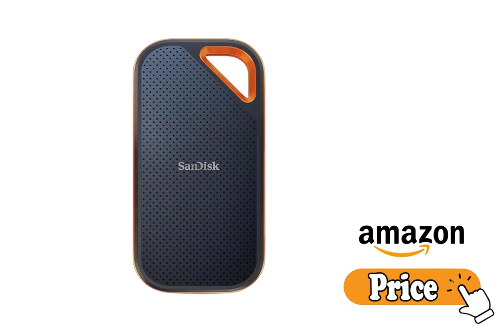  sandisk ssd