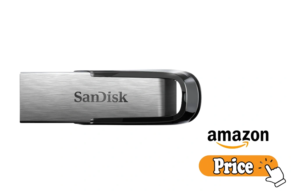 SanDisk Flash Drive