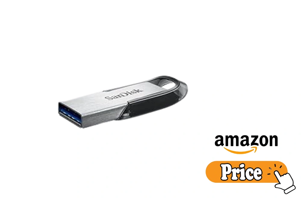 SanDisk Flash Drive
